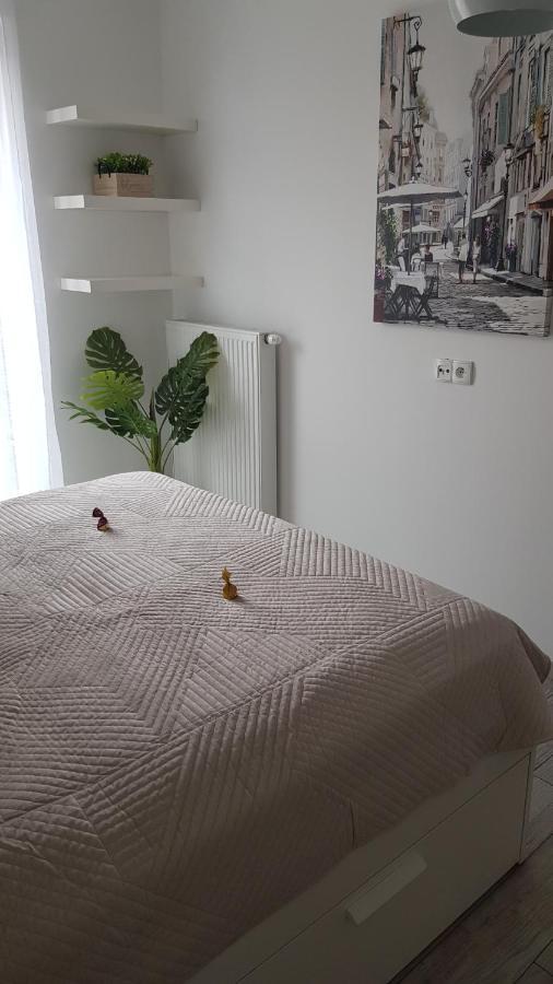 Boznicza Old Town Lux Apartment, Self Check-In 24H, Free Parking Poznan Exterior foto